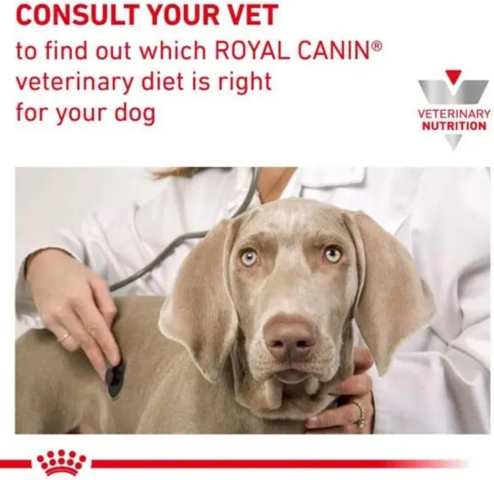 Royal Canin Veterinary Diet Dog - Gastro Intestinal Low Fat, 6kg