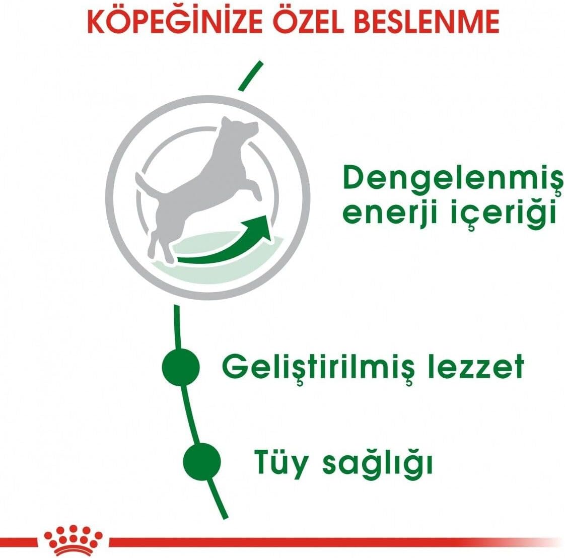 Royal Canin Mini Adult 4 kg