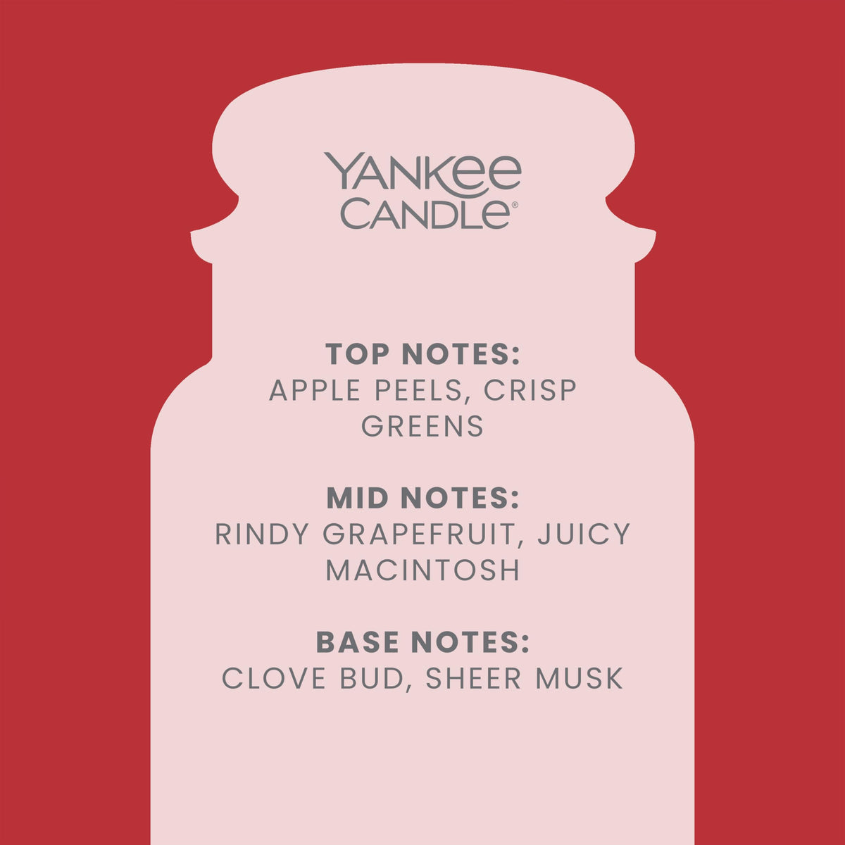 Yankee Candle Scented Candle | Christmas Magic Large Jar Candle | Long Burning Candles: up to 150 Hours | Perfect Gifts for Women
