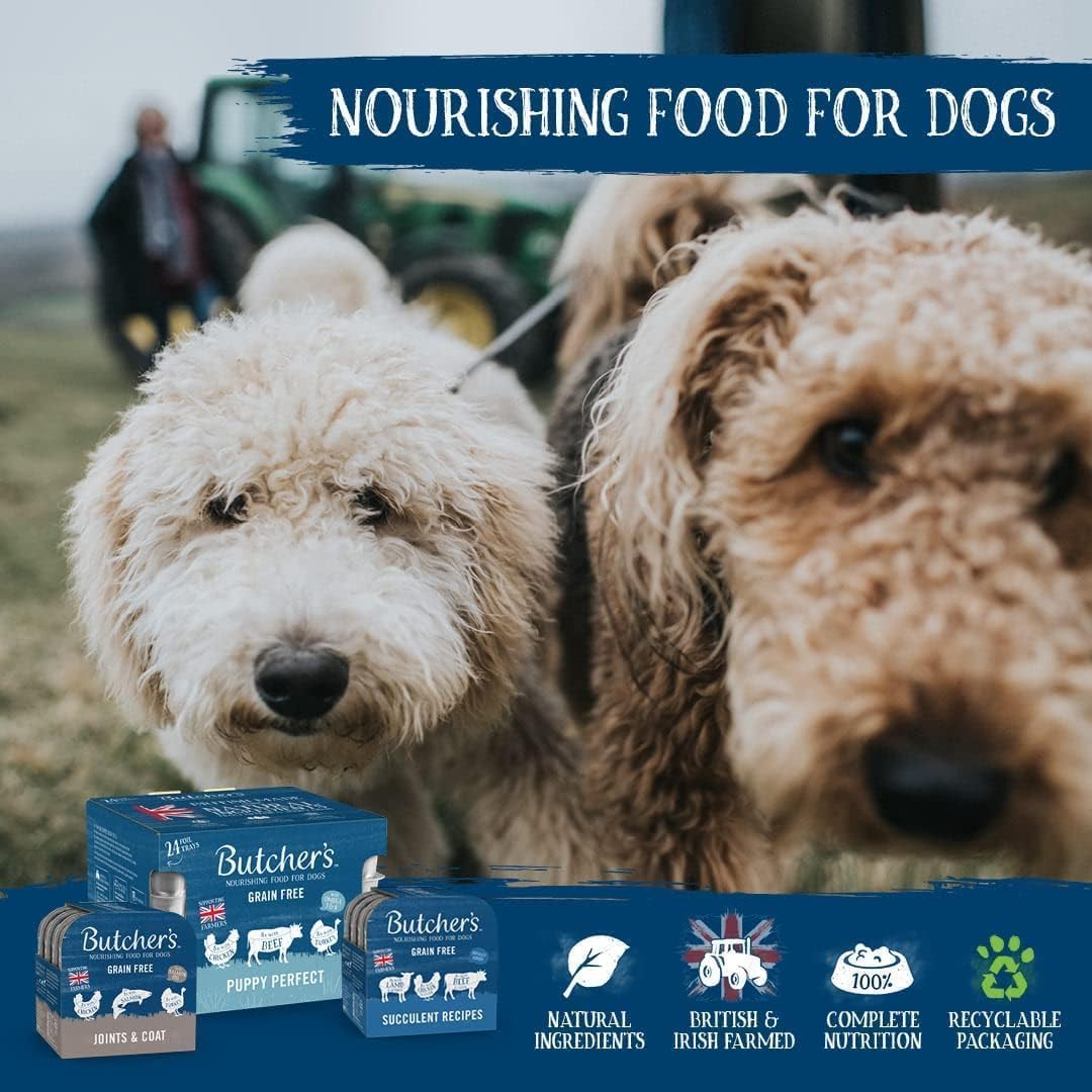 Butcher's Complete Wet Can Adult Dog Food Recipes in Jelly Pack 24x400g