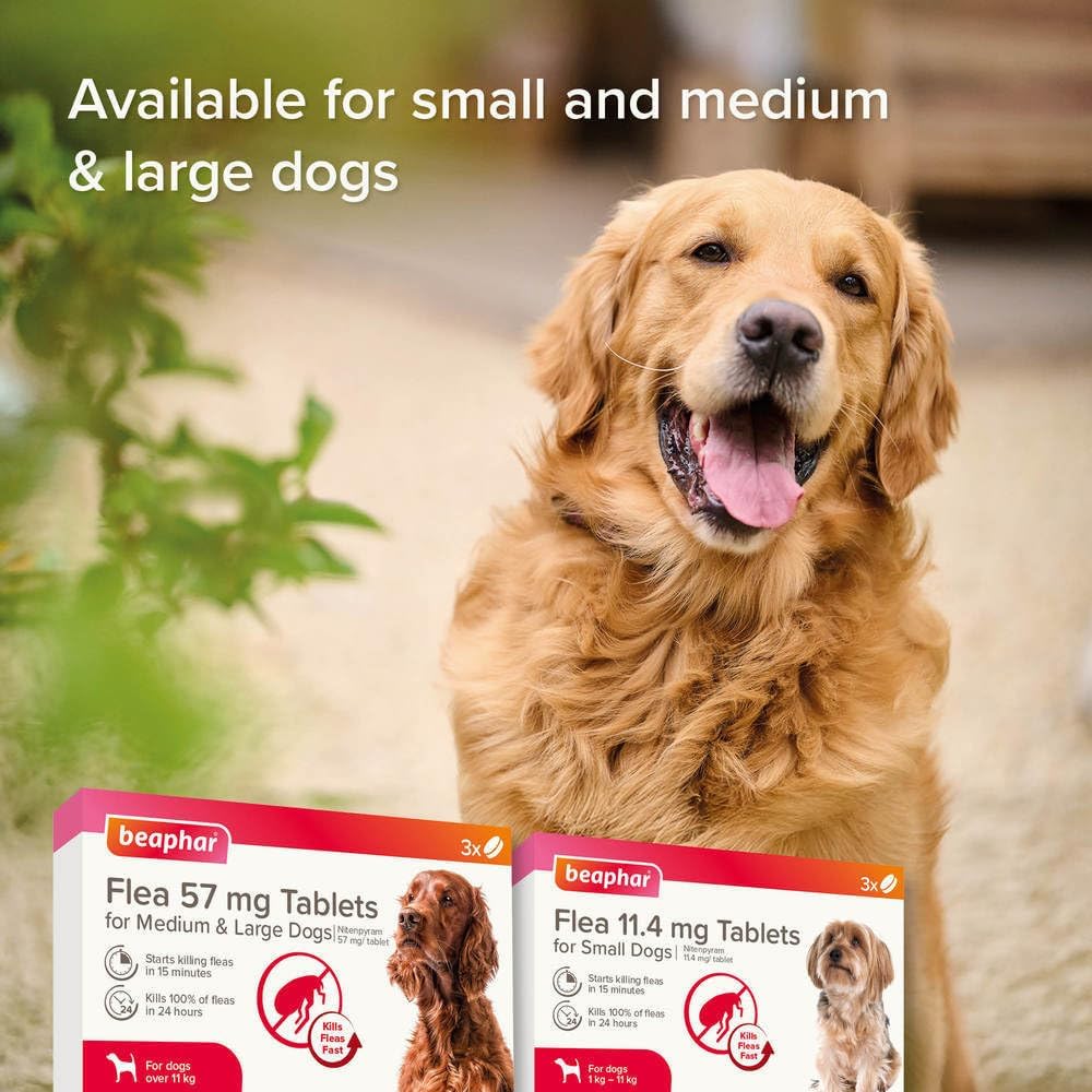 Beaphar - Flea Tablets for Medium/Large Dogs (>11kg) - 3 Treatment Pack - Rapid Knock Down of Fleas - Starts Killing Fleas In 15 Minutes, Kills 100% in 24hrs - Veterinary Medicine For Dogs > 4 Weeks