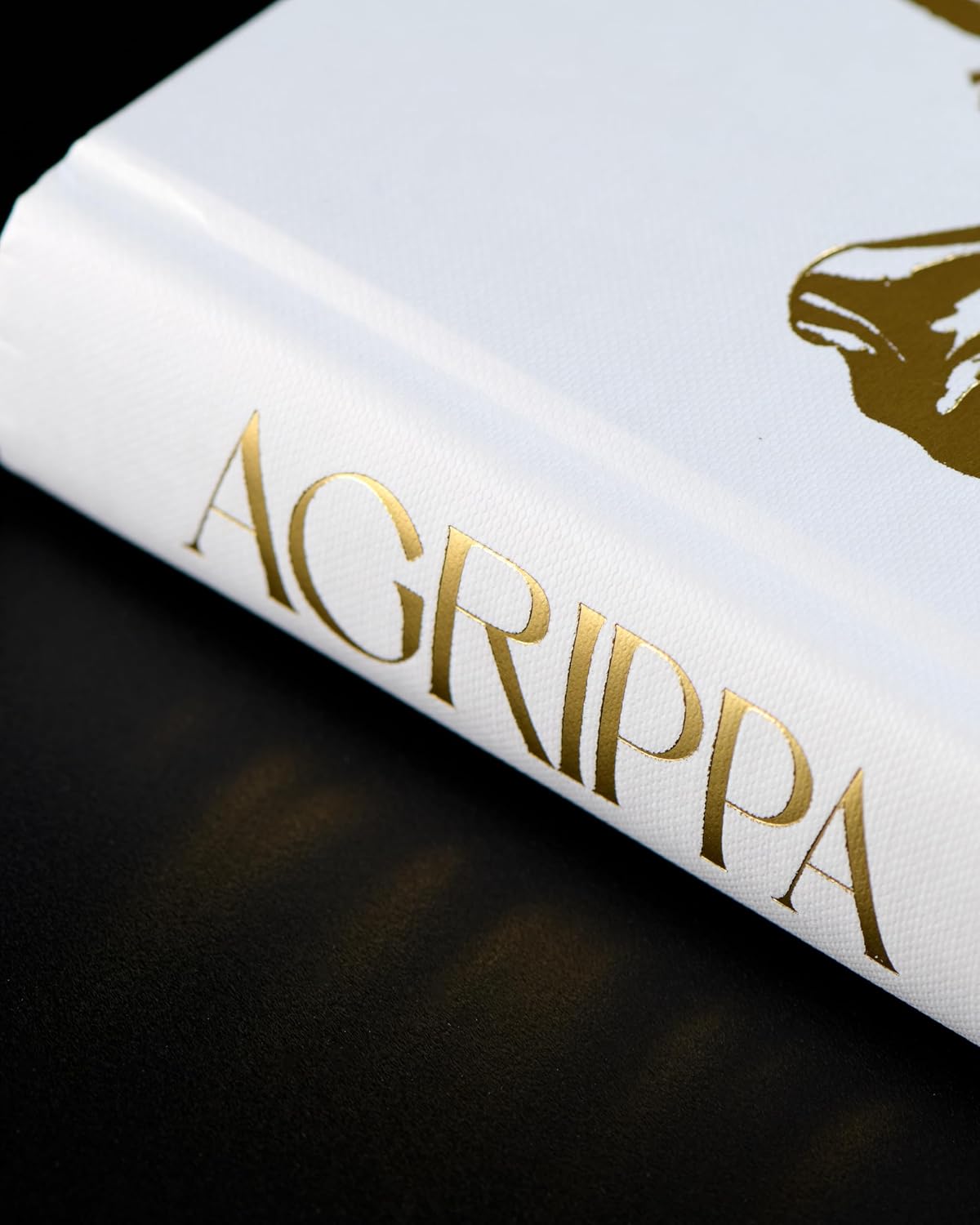 Agrippa: The thrilling new novel set in Ancient Rome from the bestselling author of Conclave