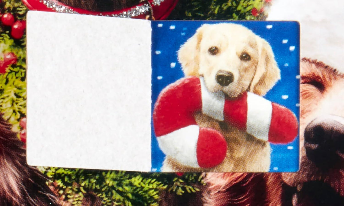 Christmas Pets Advent Calendar (Countdown to Christmas) by Vermont Christmas Company - Open a Window for a Fun Picture Each Day in December