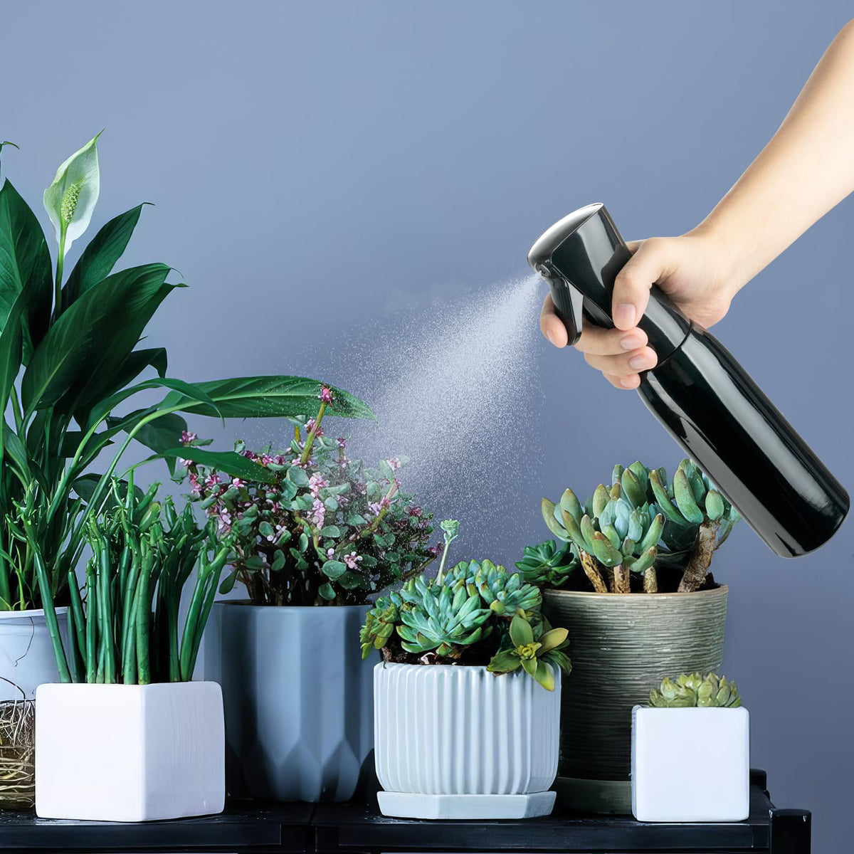 Spray Bottles Continuous Ultra Fine Mist Empty Water Bottles Hairdresser Spray Bottles Salon Hairdresser Hair Tool Water Sprayer (200ML, Mint Green)