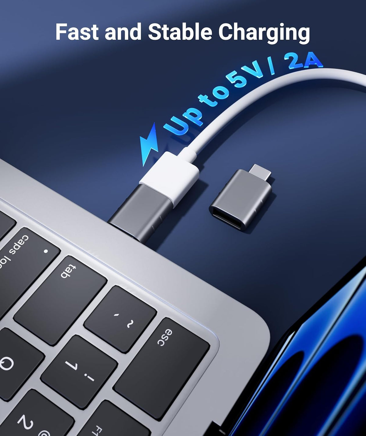 Syntech USB C to USB Adapter 2-Pack, Type C Male to USB 3.0 Female Adapter