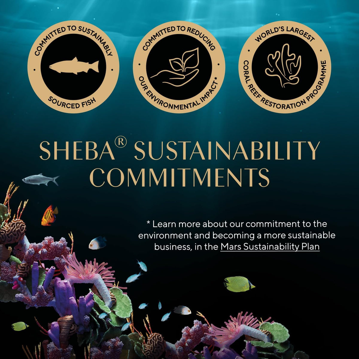 SHEBA Fresh & Fine Cat Pouches Fish collection in Gravy 50x50g