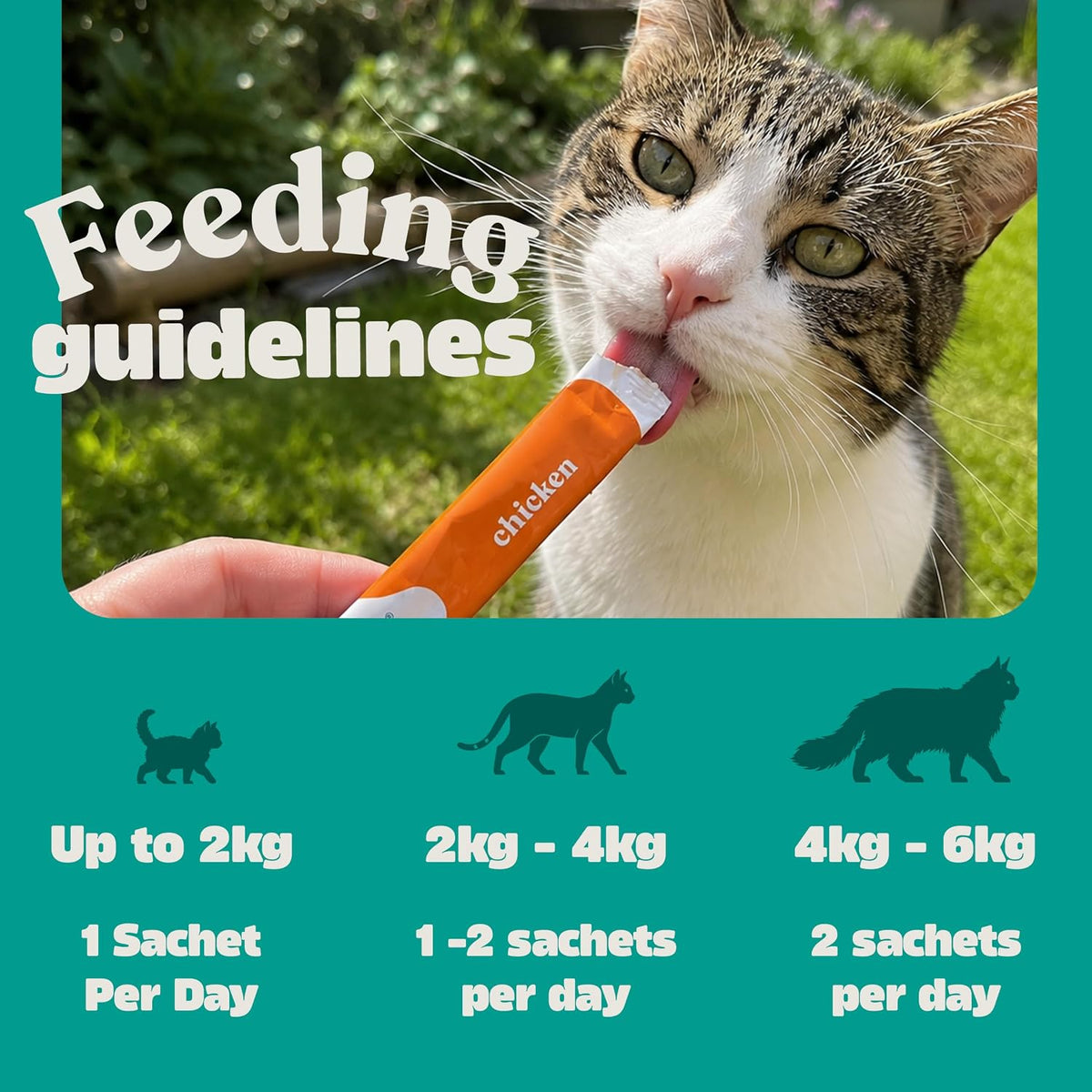 Webbox Lick-e-Lix Cat Treats Variety Value Pack - Kitten Friendly, Grain Free, No Artificial Preservatives or Colours (50 Pack)