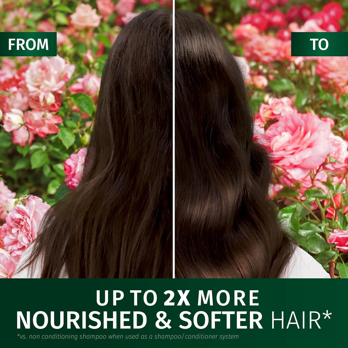 Herbal Essences Rose Scent Petal Soft Shampoo 650ml to Help Dry Hair Feel Silky and Nourished, Blended with Rose Essence and Natural Origin Ingredients, Silicone Free, Vegan and Cruelty Freerefers