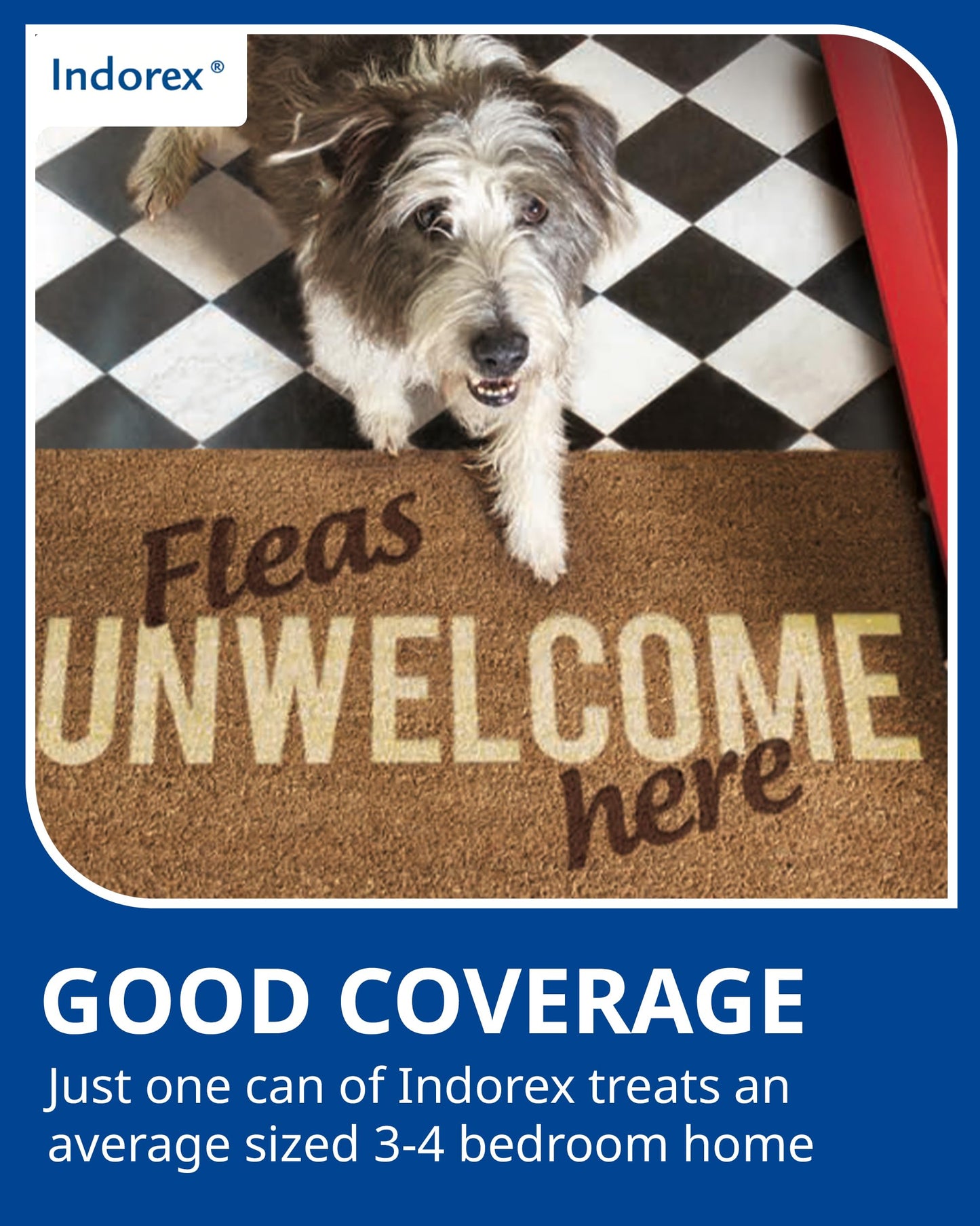 Virbac Indorex Defence Flea Spray for the Home – Long-Lasting 12-Month Protection Against Fleas and Dust Mites – 2 x 500ml Can
