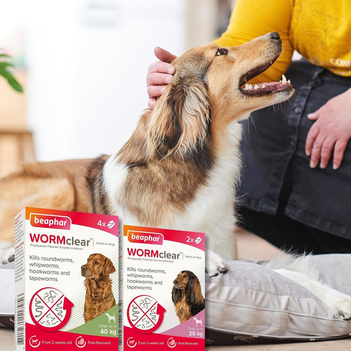 Beaphar - WORMclear® Tablets for Dogs up to 40kg - 4 Tablets - Kills All Common UK Intestinal Worms (Roundworms & Tapeworms) - Vet Strength Wormer - Pork-Flavoured - For dogs over 2 weeks old & 3kg