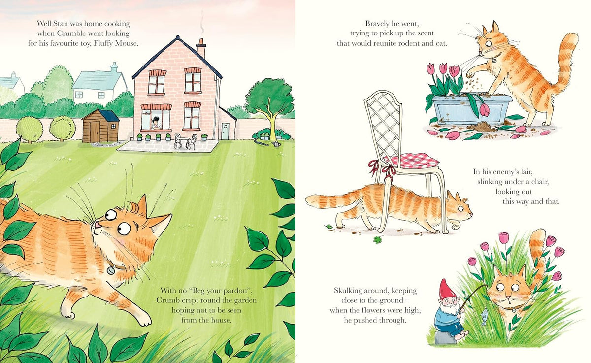 The Cat in the Cupboard: A warm and witty picture book for 5-7 year olds