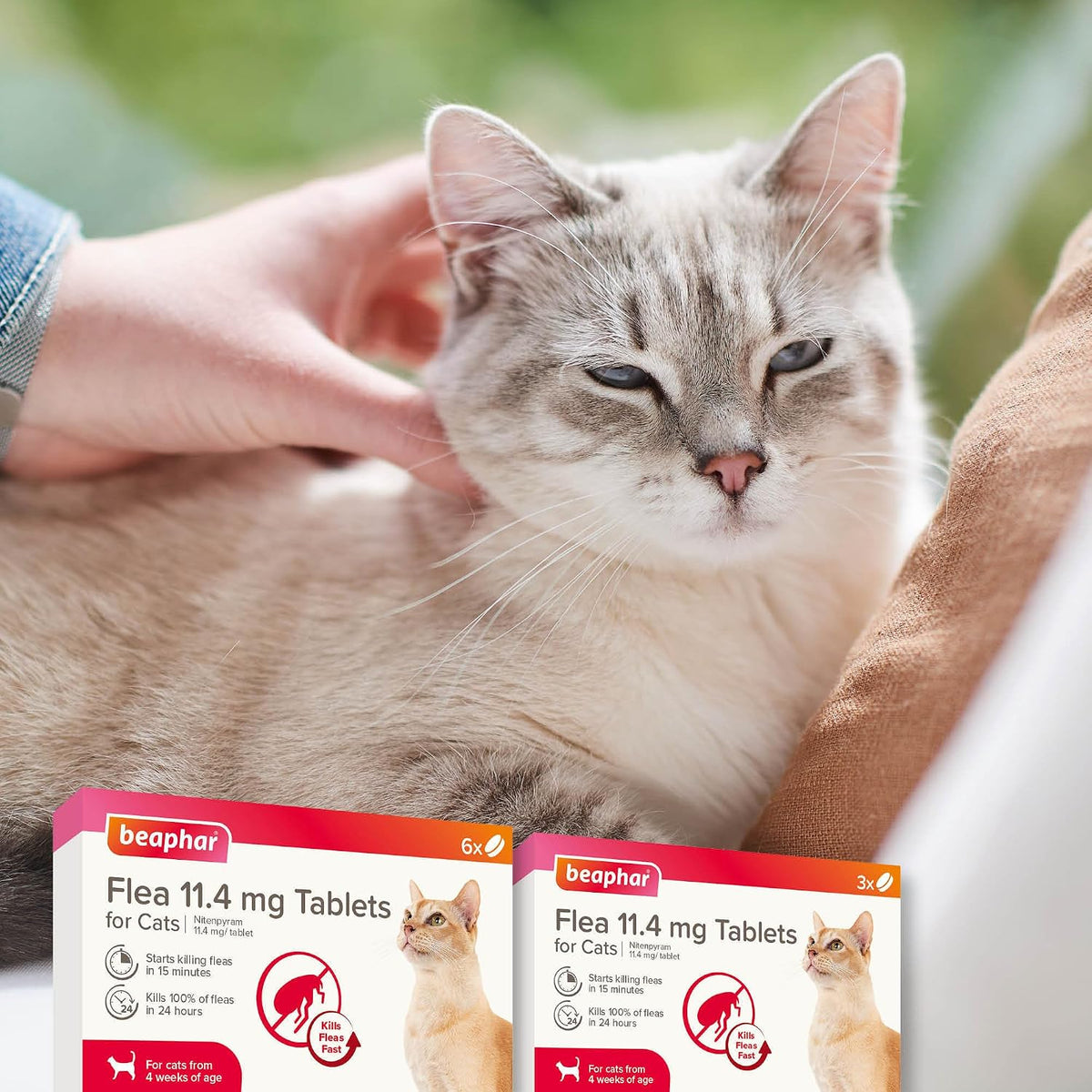 Beaphar - Flea Tablets for Cats & Kittens - 6 Treatment Pack - Rapid Knock Down of Fleas - Starts Killing Fleas in 15 Minutes, Kills 100% in 24hrs - Veterinary Medicine - For Cats from 4 Weeks Old
