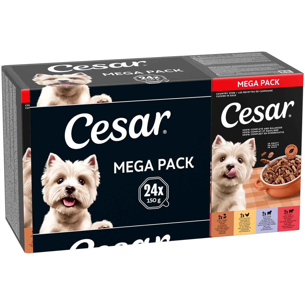 CESAR Pouch Selection in Jelly, Fresh Adult Wet Dog Food Pouches in Delicious Jelly with Succulent Meats and Vegetables, 48 x 100 g