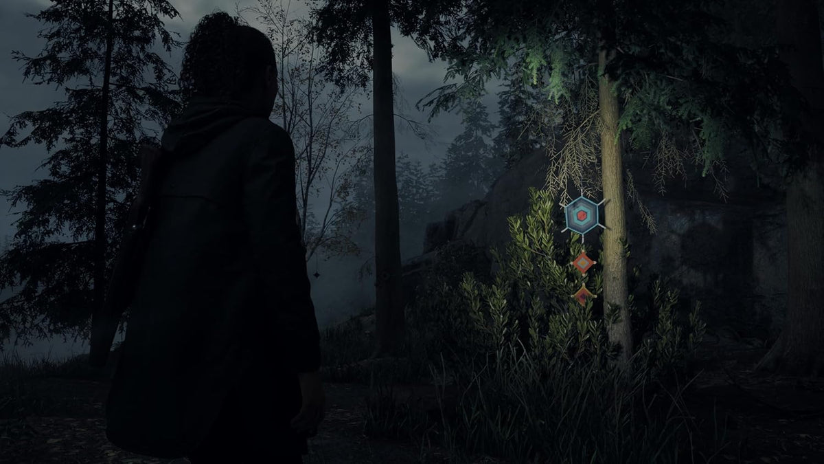 Alan Wake 2 Deluxe Edition - PS5