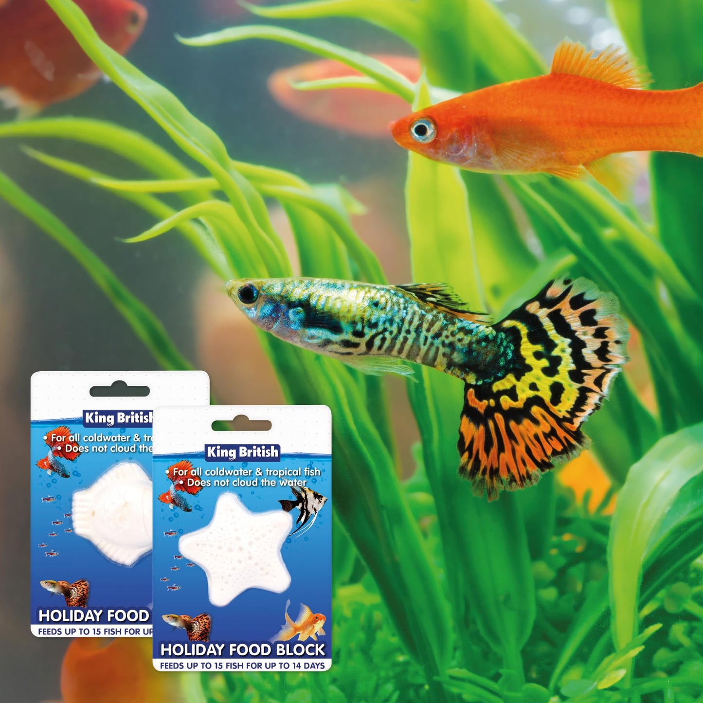 King British – Holiday Block Food – For Coldwater & Tropical Fish – Ideal for Leaving your Fish over Holidays – Does Not Cloud Water Ingredients – Helps keep Fish Healthy & Active