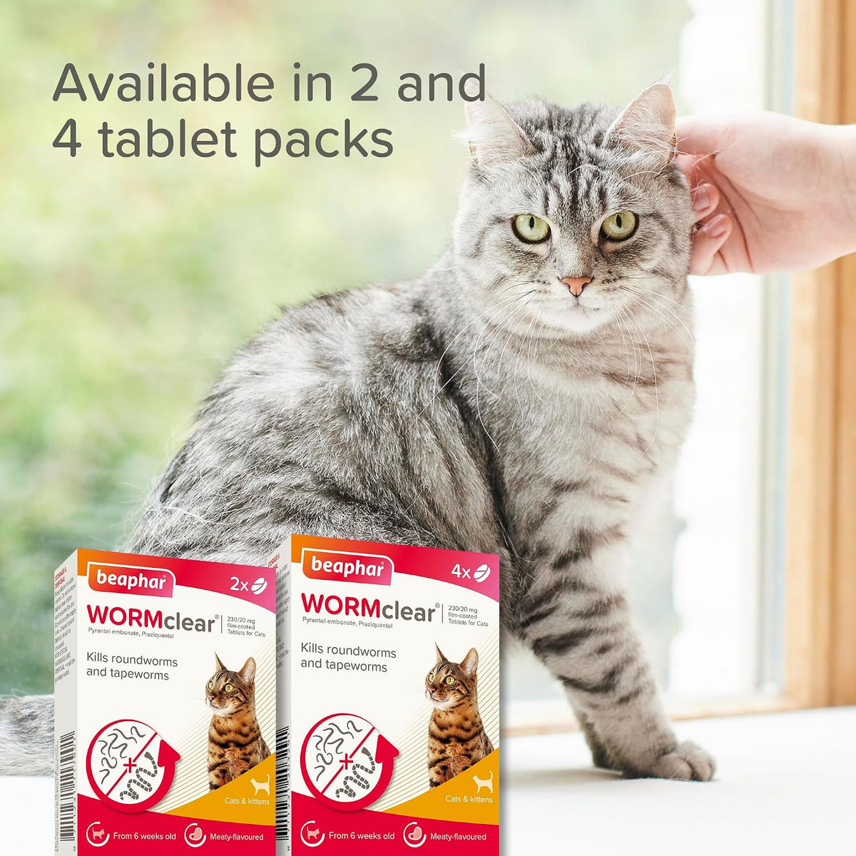 Beaphar - WORMclear® Tablets for Cats - 2 Tablet Pack - Kills All Common UK Intestinal Worms (Roundworms & Tapeworms) - Vet Strength Worm Treatment - Meaty-Flavoured - For Cats Over 6 Weeks Old & 1kg