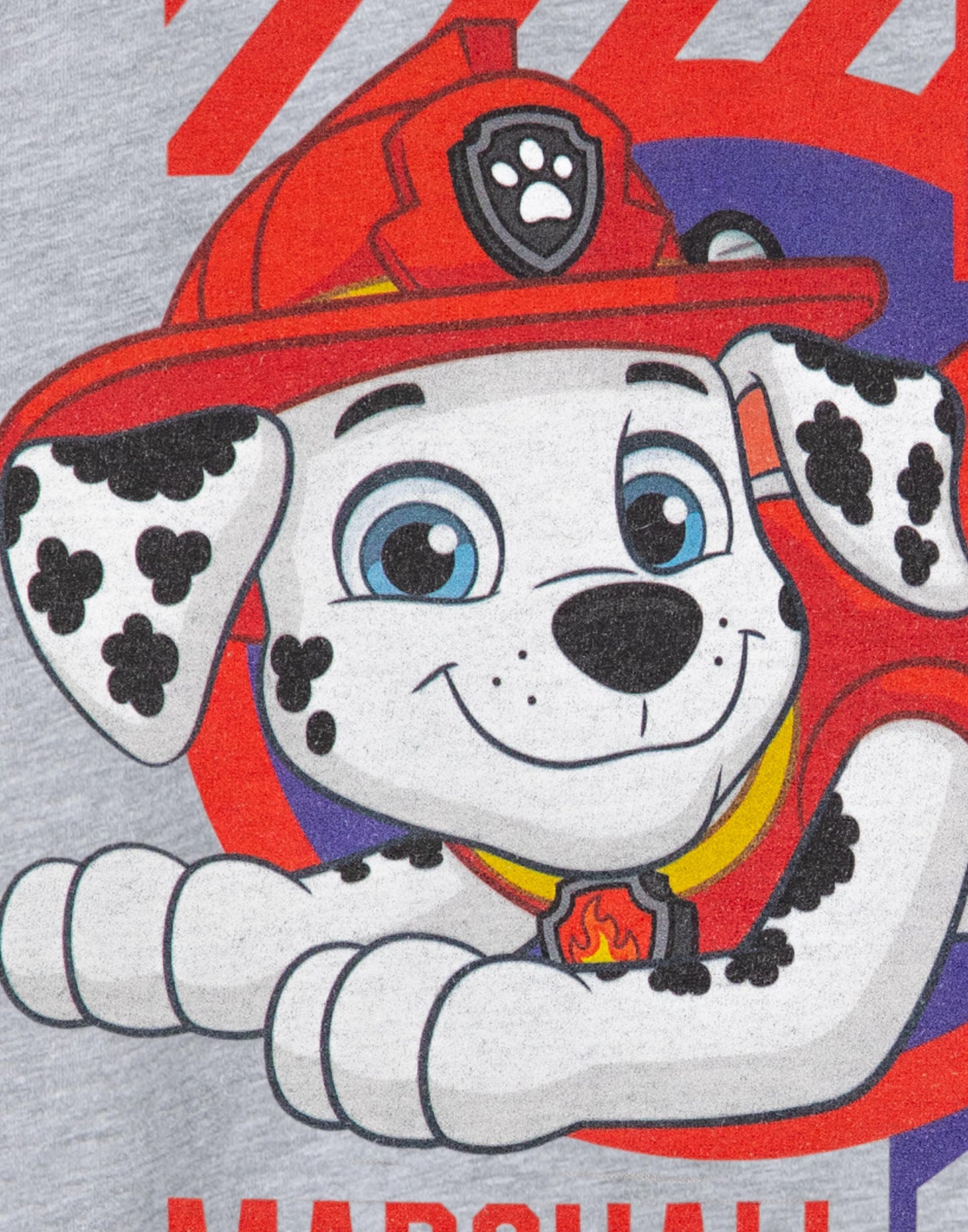Paw Patrol Short Sleeved T-Shirt | Boys Grey Marl | Official Merch