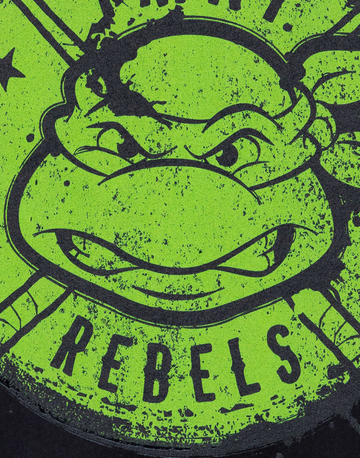 Teenage Mutant Ninja Turtles Short Sleeved T-Shirt | Boys Black | Official Merch