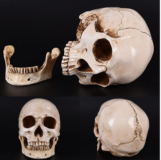 170cm Halloween Poseable Skeleton Full Life Size Human Skeleton Decoration Props