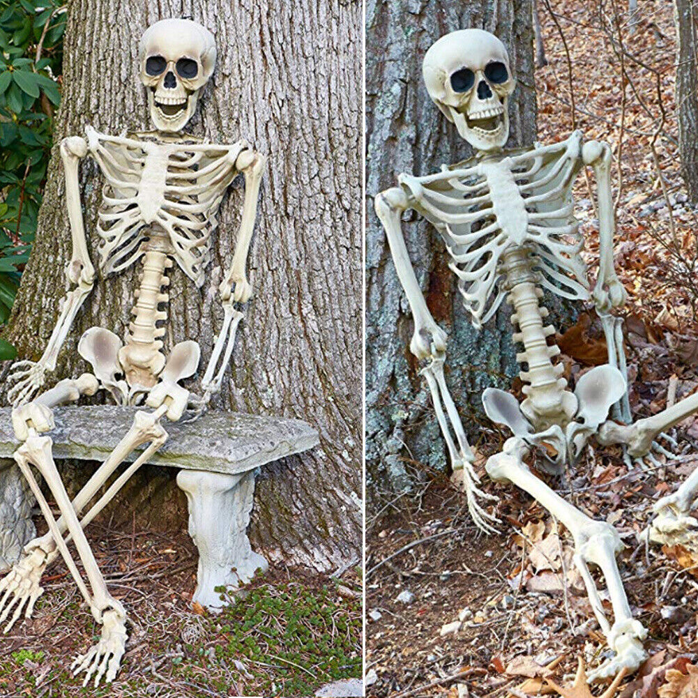 170cm Halloween Poseable Skeleton Full Life Size Human Skeleton Decoration Props