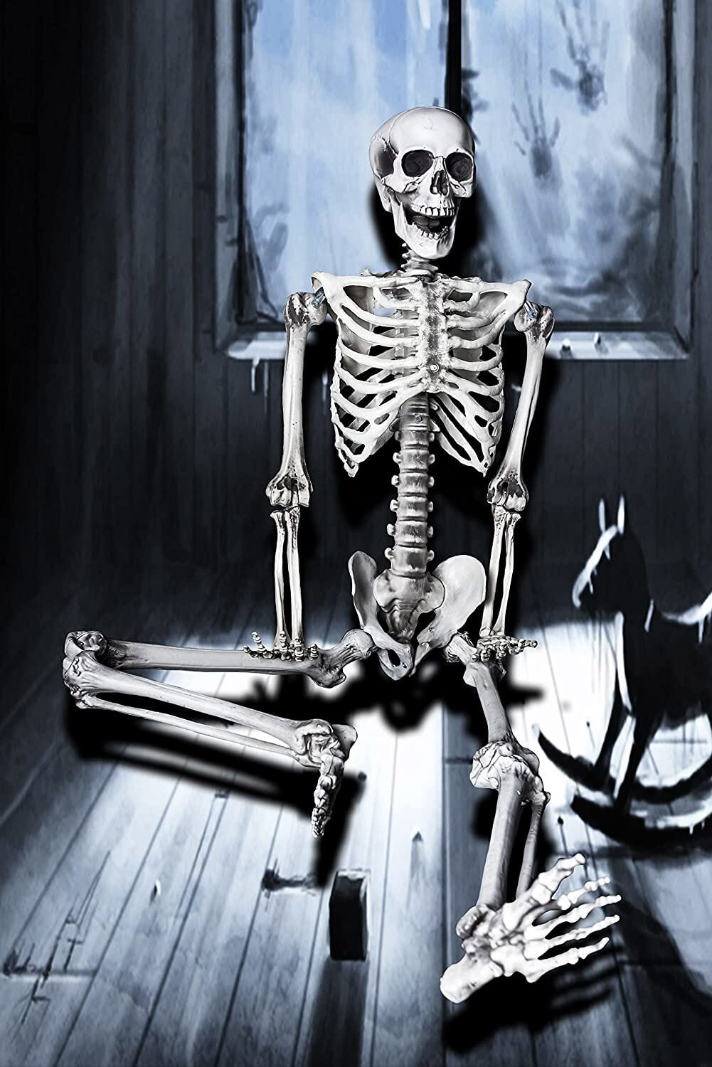 170cm Halloween Poseable Skeleton Full Life Size Human Skeleton Decoration Props