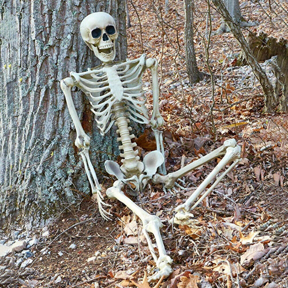 170cm Halloween Poseable Skeleton Full Life Size Human Skeleton Decoration Props