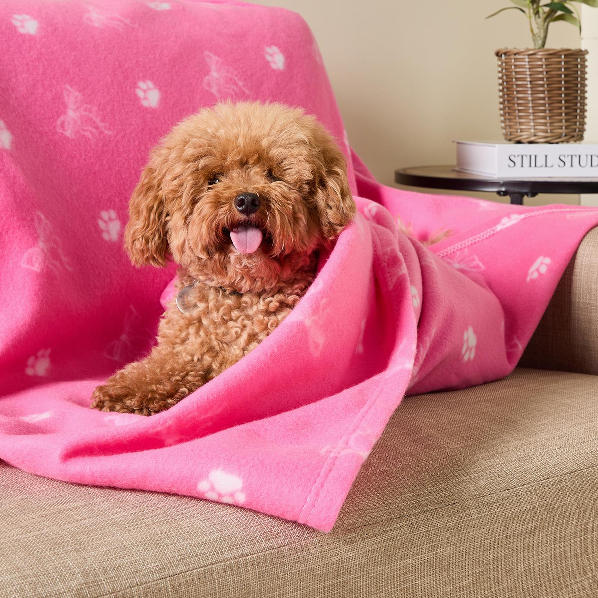 OHS Pet Blanket Dog Warm Fleece Cat Throw Paw Puppy Animal Soft Mat
