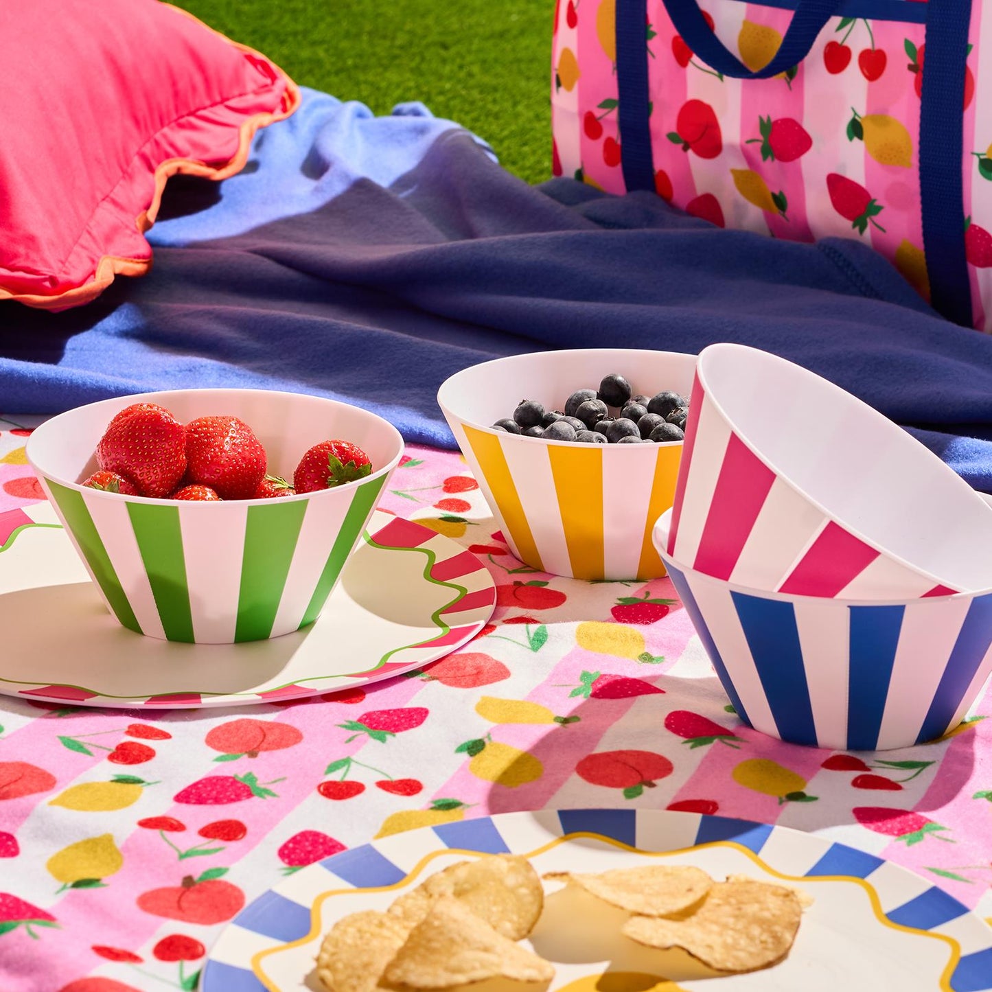 OHS Printed Picnicware Wine Cooler OR Picnic Blanket OR Bag Plates Bowls Glasses