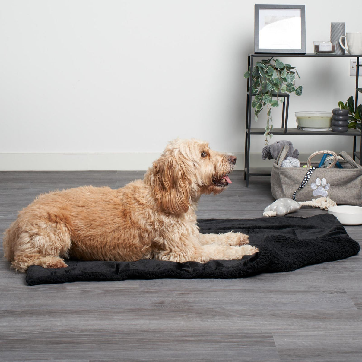 Brentfords Sherpa Pet Animal Blanket Puppy Dog Cat Kitten Kennel Mat Warm Throw