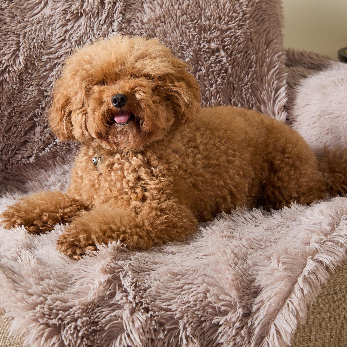 OHS Pet Fleece Throw Fluffy Calming Foldable Travel Dog Puppy Cat Blanket