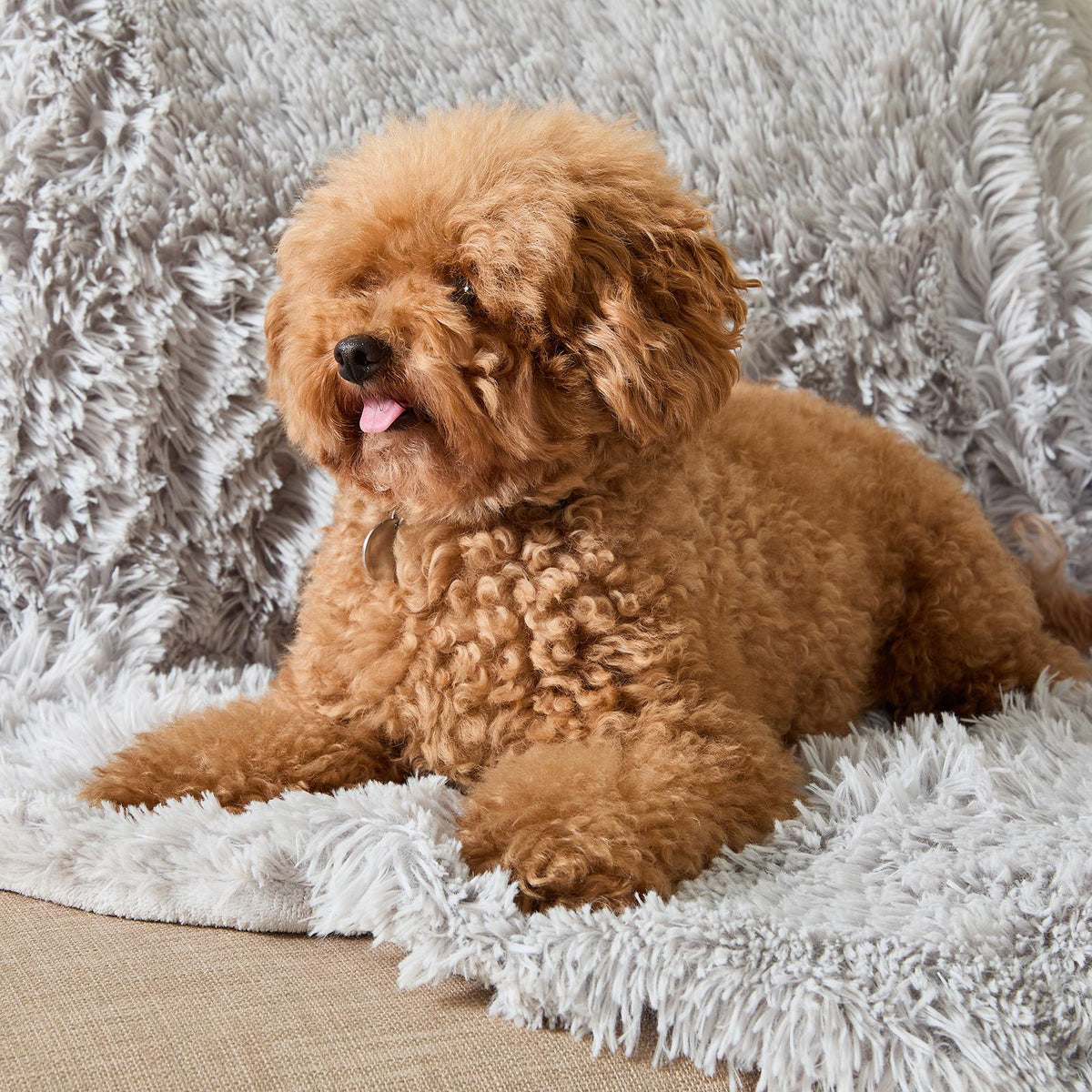 OHS Pet Fleece Throw Fluffy Calming Foldable Travel Dog Puppy Cat Blanket