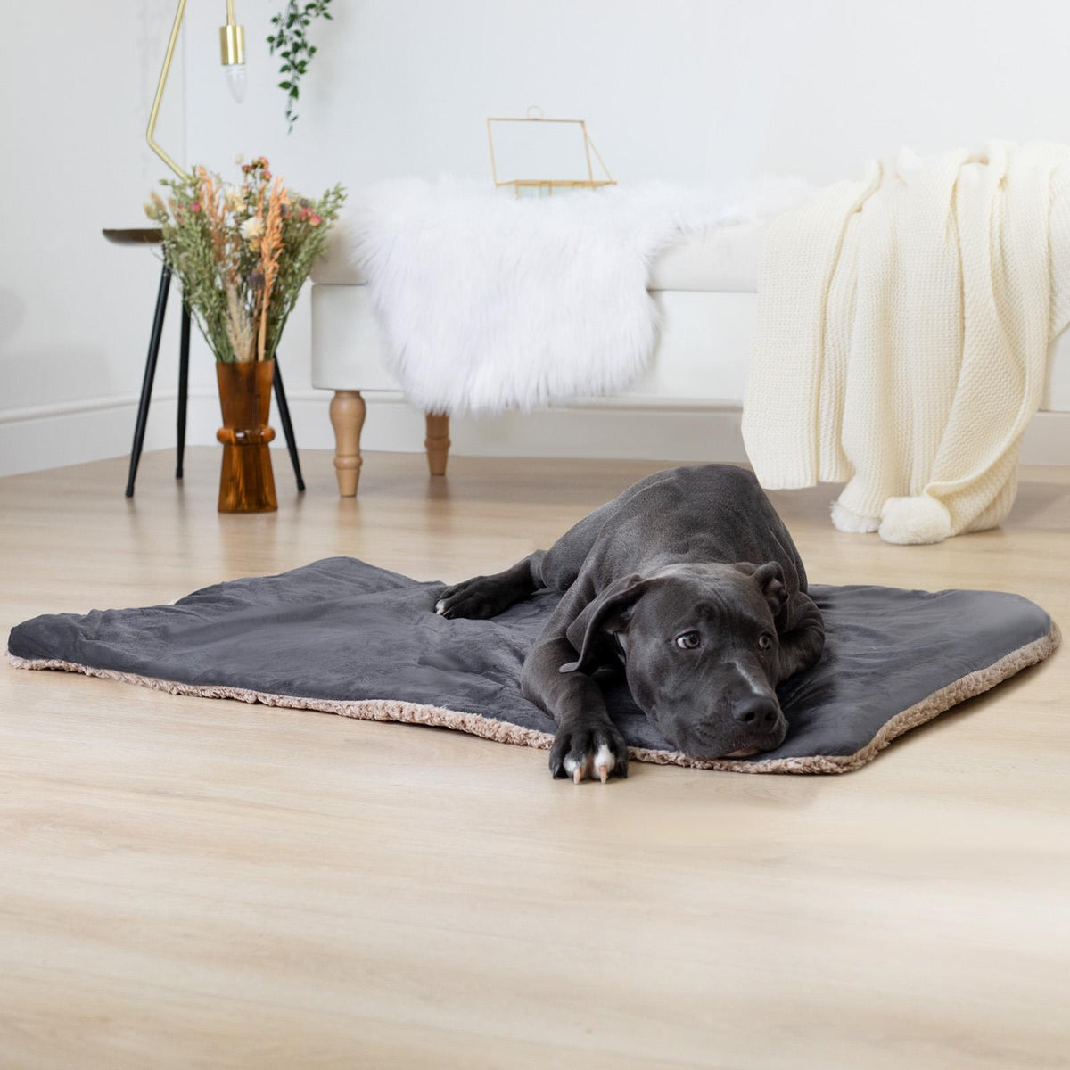 OHS Quilted Pet Blanket Soft Sherpa Fleece Animal Dog Cat Throw