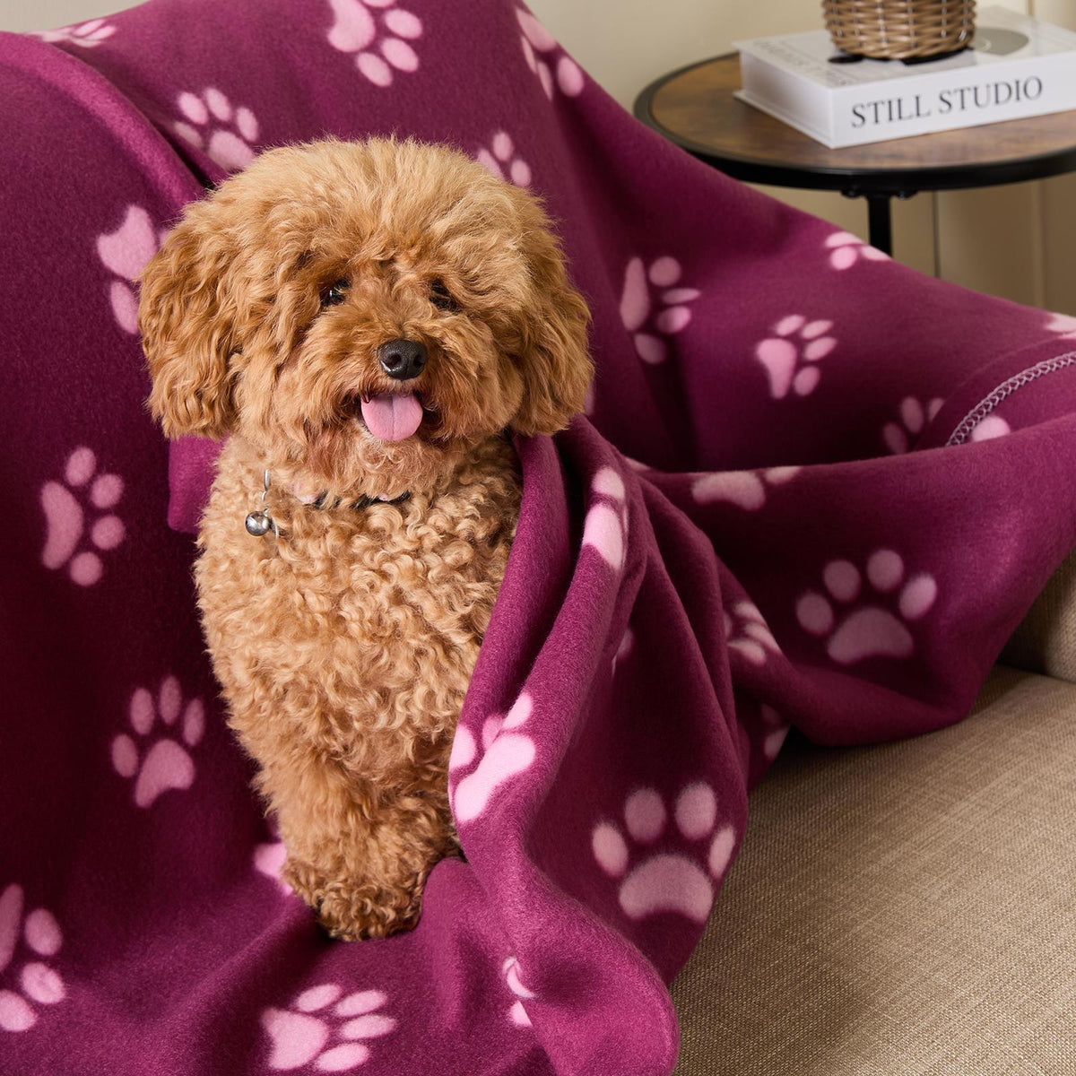 OHS Pet Blanket Dog Warm Fleece Cat Throw Paw Puppy Animal Soft Mat