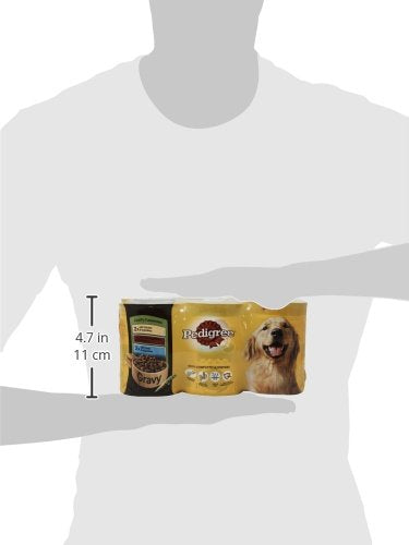 Pedigree Adult Dog Wet Food Can, Mixed Selection Gravy, 12x400g