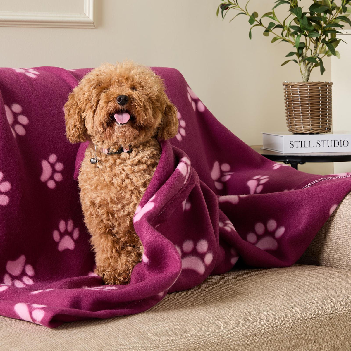 OHS Pet Blanket Dog Warm Fleece Cat Throw Paw Puppy Animal Soft Mat