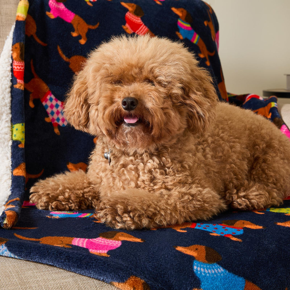 OHS Printed Pet Blanket Reversible Sherpa Fleece Dog Cats Thermal Calming Throw