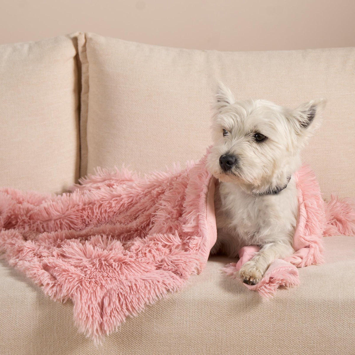 OHS Pet Fleece Throw Fluffy Calming Foldable Travel Dog Puppy Cat Blanket