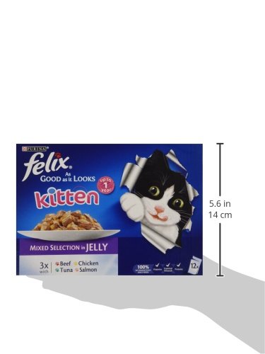 FELIX Doubly Delicious Countryside Selection in Jelly Wet Cat Food 40x85g