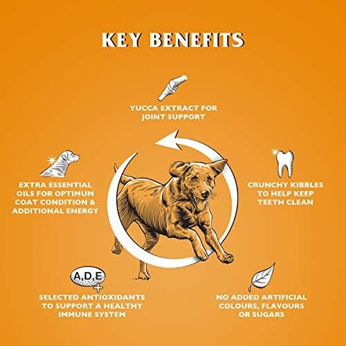 Dr John Gold Dry Dog Food 15kg - Chicken & Vegetables Complete Dog Food - High Energy Adult & Senior Dog Food for Active & Working Dogs - Balanced Daily Nutrition