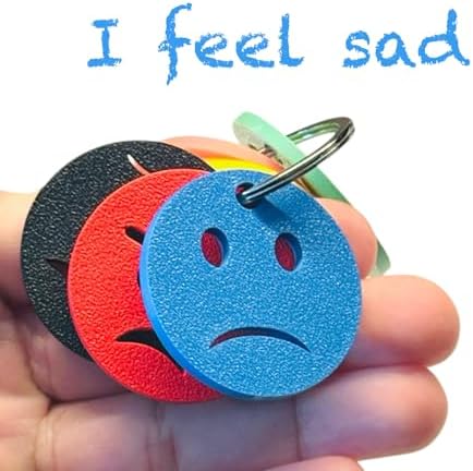 Colour Feelings 6 Emotional Regulation Keychain | 6 Mood Zone Discs for Children and Adults For Special Educational Needs | Emotions Teaching Aid | SEN Communication Tool/Accessory