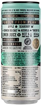 TENZING Natural Energy Drink, Plant Based, Vegan, & Gluten Free, +BCAA, Apple & Seaberry, 330ml (Pack of 12) - Packaging may vary