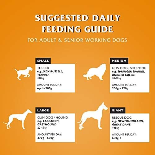 Dr John Gold Dry Dog Food 15kg - Chicken & Vegetables Complete Dog Food - High Energy Adult & Senior Dog Food for Active & Working Dogs - Balanced Daily Nutrition