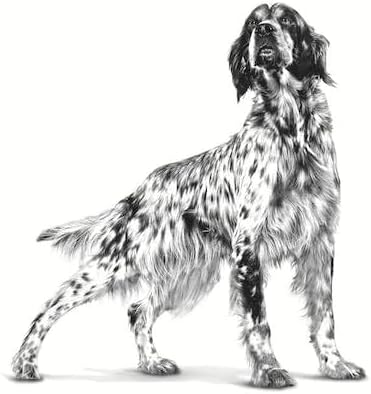 Royal Canin Veterinary Diet Dog - Gastro Intestinal Low Fat, 6kg