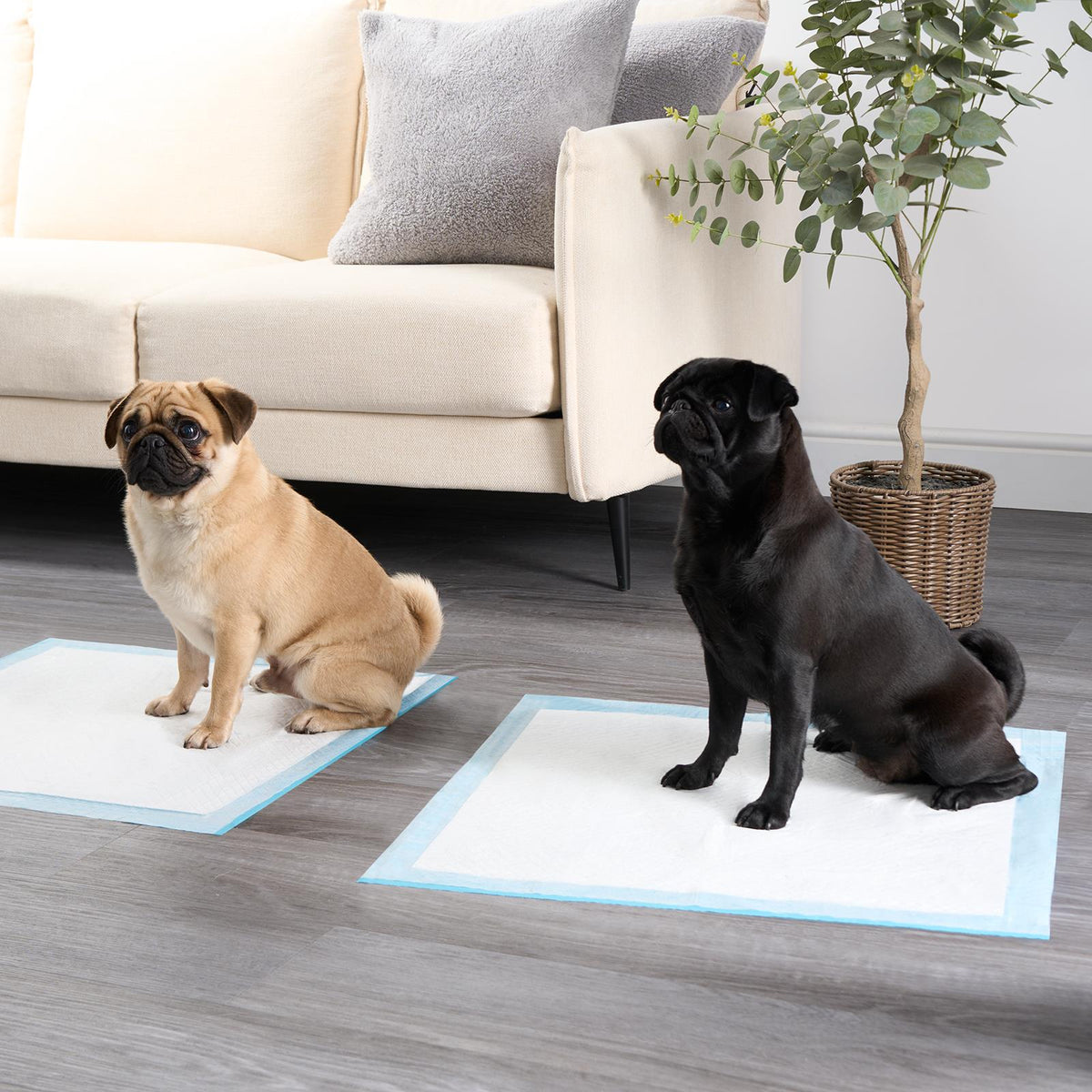 100 Training Pads Absorbent Large Pet Puppy Wee Pee Dog Kitten Poo Floor Mats