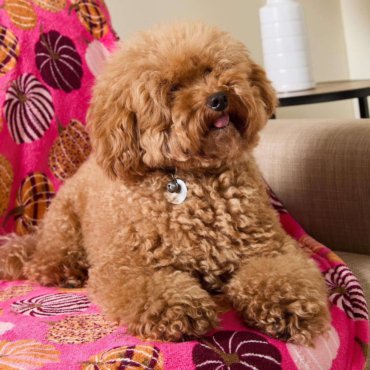 OHS Printed Pet Blanket Reversible Sherpa Fleece Dog Cats Thermal Calming Throw