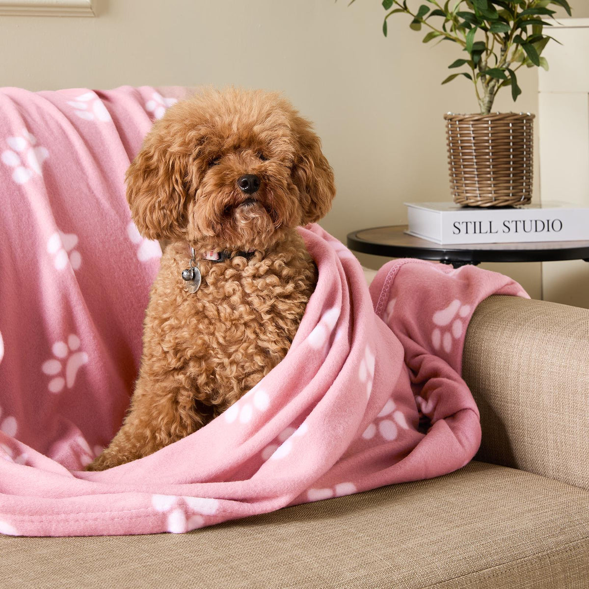 OHS Pet Blanket Dog Warm Fleece Cat Throw Paw Puppy Animal Soft Mat