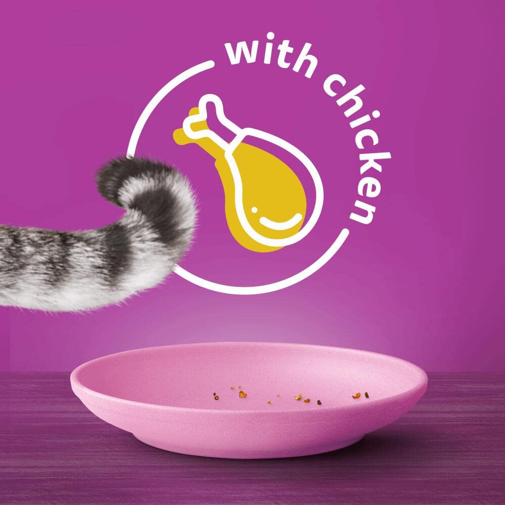 Whiskas Junior Chicken 7 kg Bag, Kitten Cat Dry Food - Pack May Vary