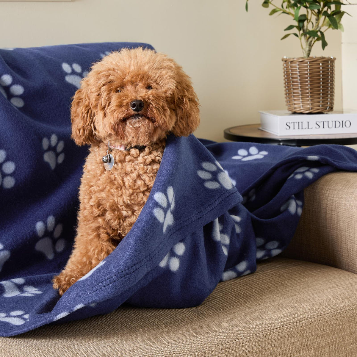 OHS Pet Blanket Dog Warm Fleece Cat Throw Paw Puppy Animal Soft Mat