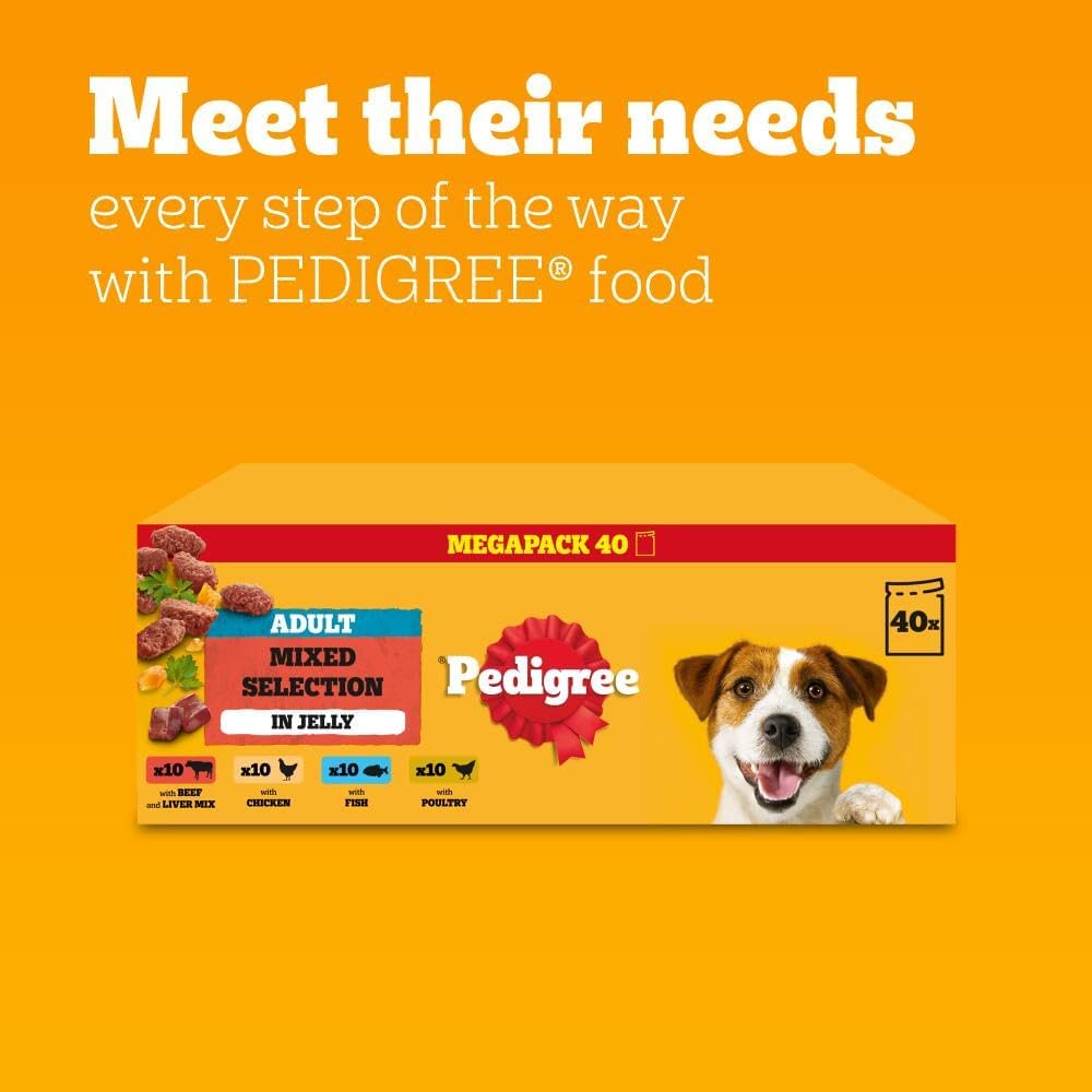 PEDIGREE Adult Dog Food Pouches Mixed Selection in Jelly 40 x 100 g Mega Pack