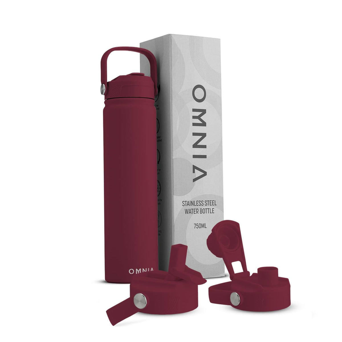Vacuum Insulated Stainless Steel Water Bottle, 2 Lids (Straw & Spout) Leakproof, BPA-Free, Reusable Flask Ideal for Travel and Outdoors (Gradient Purple - 750 ml)